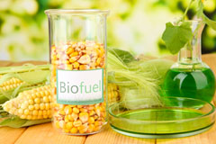 Syke biofuel availability
